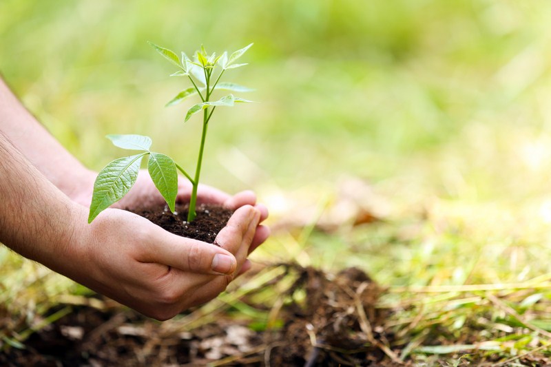 Paysagiste Ambérieu-en-Bugey